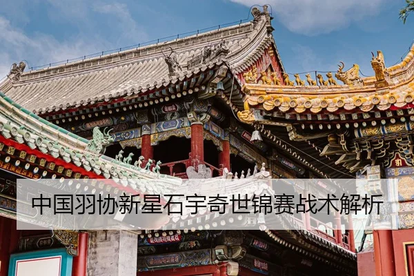 中国羽协新星石宇奇世锦赛战术解析
